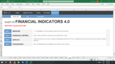 61782b025882f2d65fe06e57_financial-indicators-worksheet-in-excel-40-431294.png