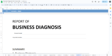 Business Diagnostic for Consultants - Reports - Print