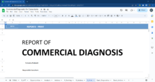 Reports - Print - Commercial Diagnostic for Consultants