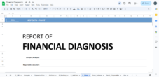 Reports - Print - Financial Diagnostic for Consultants